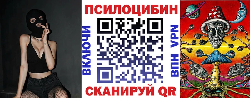 Купить  Павловский Посад  Галлюциногенные грибы прущие грибы 