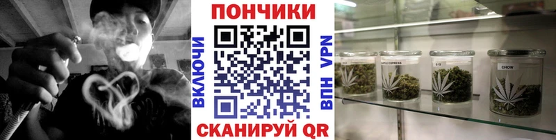 Купить  Павловский Посад  Бошки марихуана ГИДРОПОН 